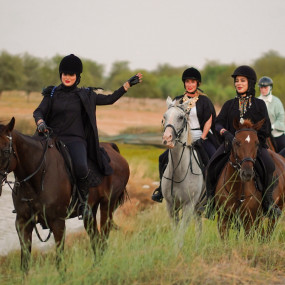 z94rom استديو الصور :دبي في تجربة ركوب الخيل في واحة المرموم مع خدمة المواصلات