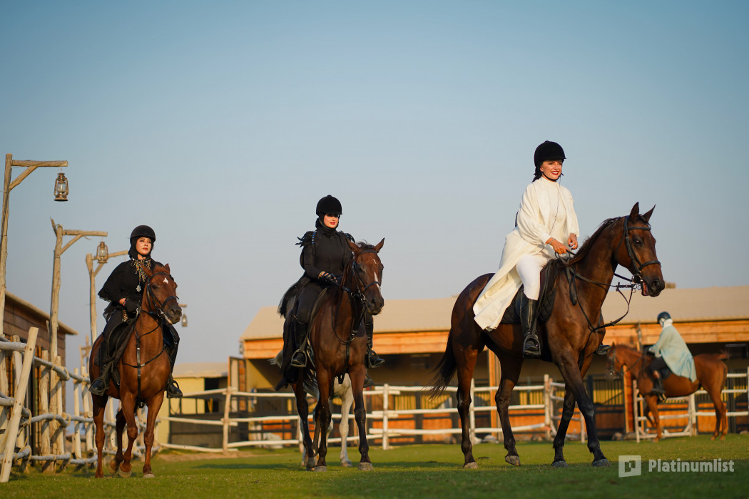 Horse Riding at Al Marmoom Oasis With Transfer in Dubai : Galerie de photos n0vkrw