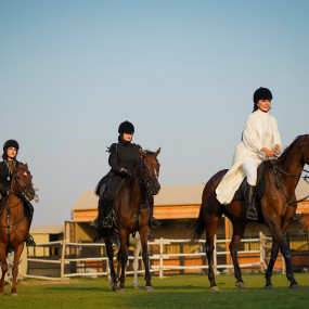 n0vkrw استديو الصور :دبي في تجربة ركوب الخيل في واحة المرموم مع خدمة المواصلات