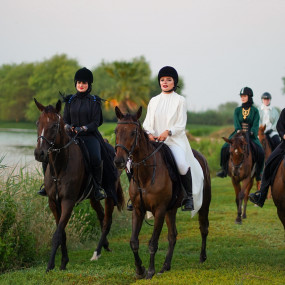 38y1gj استديو الصور :دبي في تجربة ركوب الخيل في واحة المرموم مع خدمة المواصلات