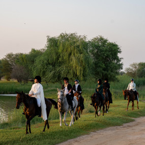 Photo de Horse Riding at Al Marmoom Oasis With Transfer dans Dubai : Galerie Photo n69jg9