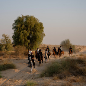 Photo de Horse Riding at Al Marmoom Oasis With Transfer dans Dubai : Galerie Photo n26g7q