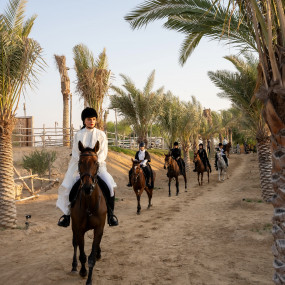 Photo de Horse Riding at Al Marmoom Oasis With Transfer dans Dubai : Galerie Photo n15pdx