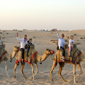 Photo from رحلة سفاري فاخرة على الكثبان الحمراء مع ركوب الجمل و3 أنواع من المأكولات في مخيم الخيمة in دبي: Gallery Photo 3xv5j7