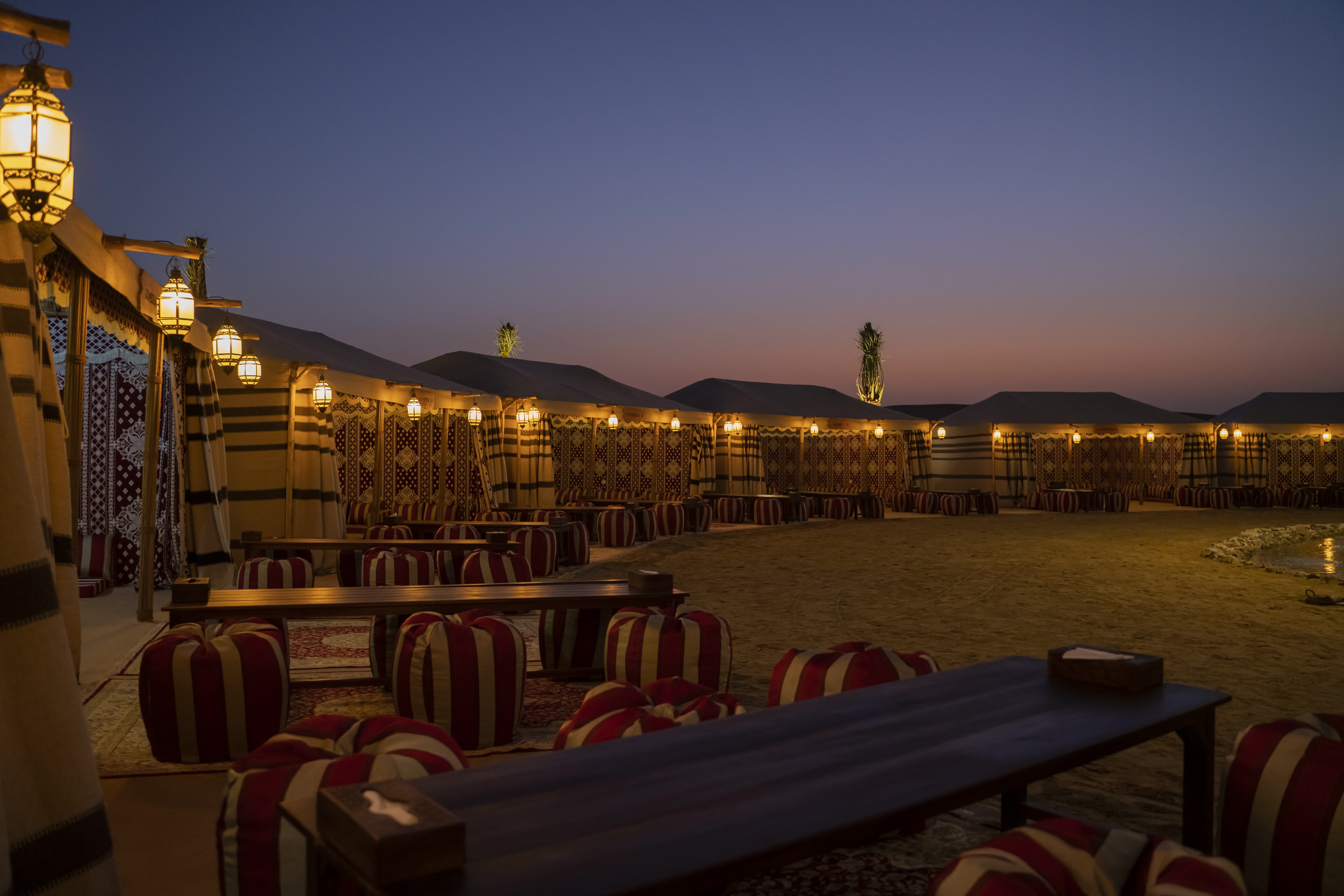 Photo de Premium Red Dunes Safari with Camel Ride & 3 Cuisines at Al Khayma Camp dans Dubai : Galerie Photo n15pmx