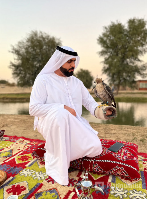 Evening Luxury Heritage Safari at Al Marmoom Bedouin Experience in Dubai : Galerie de photos n0vkqw