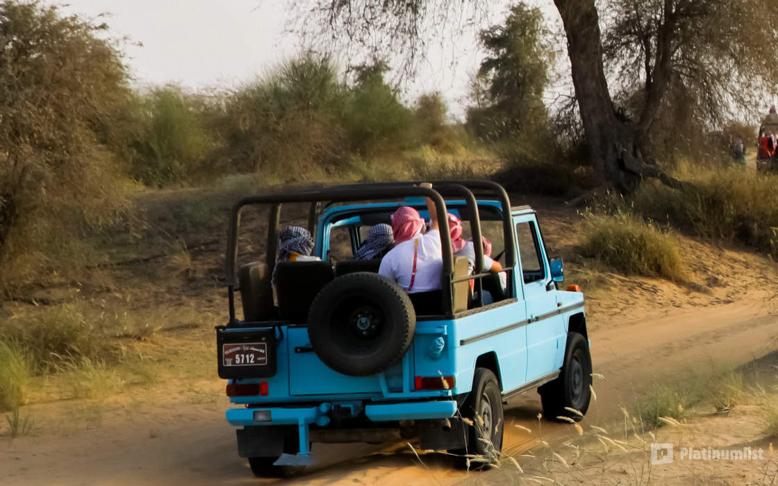 Evening Luxury Heritage Safari at Al Marmoom Bedouin Experience in Dubai : Galerie de photos 3pjg4x