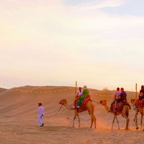 Photo from دبي: رحلات السفاري بالدراجات الرباعية وركوب الجمال والمرطبات in دبي: Gallery Photo 3bj8bj