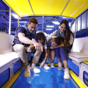 Dubai Aquarium & Underwater Zoo - Regular Pass in Dubai: Gallery Photo zv6504