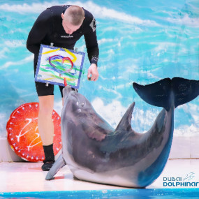 Photo from Dolphin & Seal Show - Dubai Dolphinarium in Dubai: Gallery Photo zm04m8