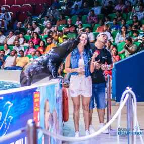 Photo from Dolphin & Seal Show - Dubai Dolphinarium in Dubai: Gallery Photo n0v8r9