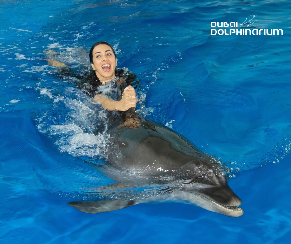 Photo from Swimming With Dolphins - Dubai Dolphinarium in Dubai: Gallery Photo zv65b0