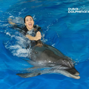 Swimming With Dolphins - Dubai Dolphinarium in Dubai: Gallery Photo zv65b0 Swimming With Dolphins - Dubai Dolphinarium in Dubai: Gallery Photo zv65b0