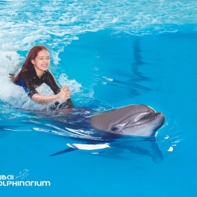 Swimming With Dolphins - Dubai Dolphinarium in Dubai: Gallery Photo 38yvg9 Swimming With Dolphins - Dubai Dolphinarium in Dubai: Gallery Photo 38yvg9