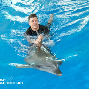 Swimming With Dolphins - Dubai Dolphinarium in Dubai: Gallery Photo zg4km8 Swimming With Dolphins - Dubai Dolphinarium in Dubai: Gallery Photo zg4km8