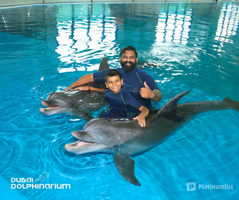 Swimming With Dolphins - Dubai Dolphinarium in Dubai: Gallery Photo zodo00