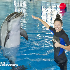 Photo from Swimming With Dolphins - Dubai Dolphinarium in Dubai: Gallery Photo zg4kmy
