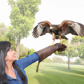 Photo from Exotic Bird Show - Dubai Dolphinarium in Dubai: Gallery Photo 3e75pq