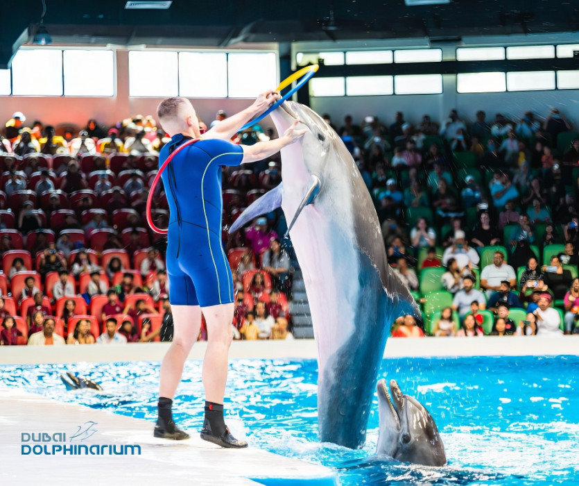 Dolphin & Seal Show - Dubai Dolphinarium + The Green Planet Dubai - Combo in Dubai : Galerie de photos zm045y