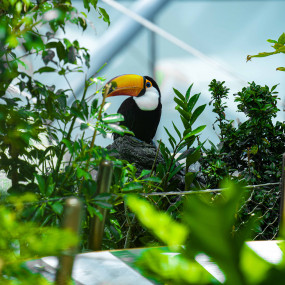 Photo from كومبو: عرض الدلافين والفقمات - دبي دولفيناريوم + الكوكب الأخضر دبي in دبي: Gallery Photo zodo2y