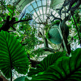 Photo from كومبو: عرض الدلافين والفقمات - دبي دولفيناريوم + الكوكب الأخضر دبي in دبي: Gallery Photo nke58w