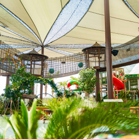 Photo de Dolphin & Seal Show - Dubai Dolphinarium + The Green Planet Dubai - Combo dans Dubai : Galerie Photo 34jkmy