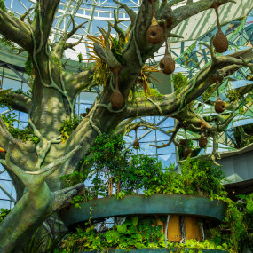 Photo de Dolphin & Seal Show - Dubai Dolphinarium + The Green Planet Dubai - Combo dans Dubai : Galerie Photo 3rw5y1