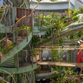 Photo de Dolphin & Seal Show - Dubai Dolphinarium + The Green Planet Dubai - Combo dans Dubai : Galerie Photo zw6510