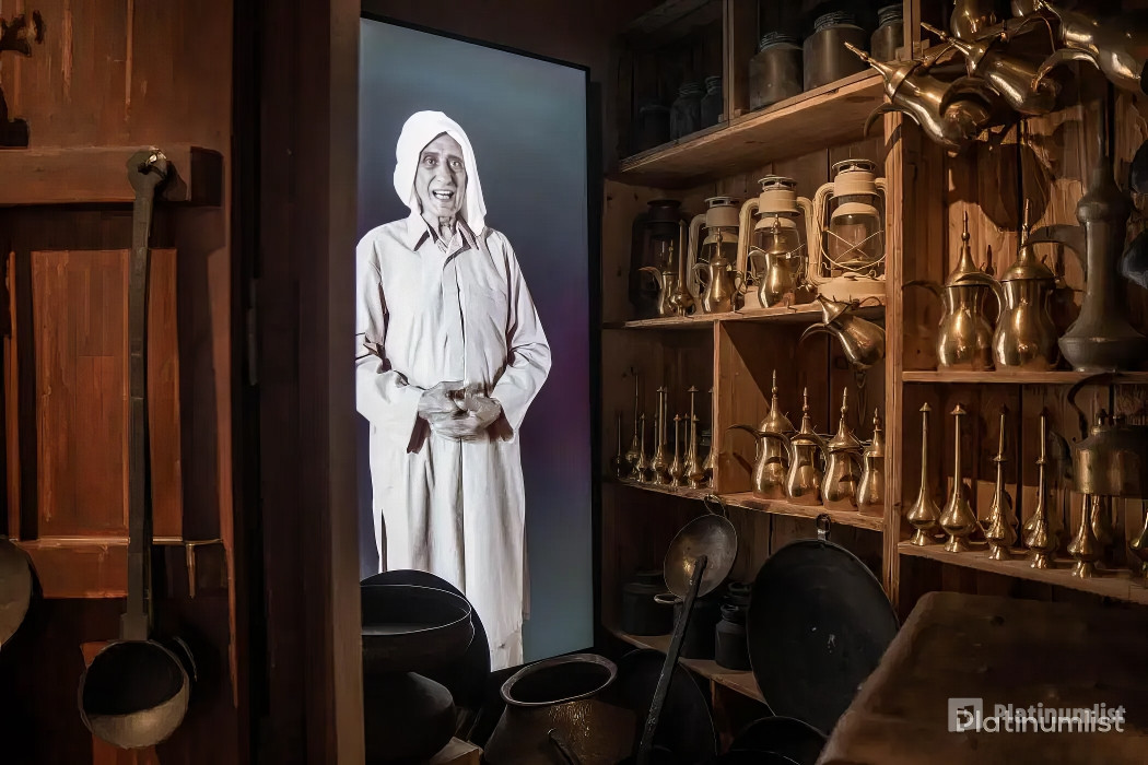 Dubai Frame + Dolphin & Seal Show - Dubai Dolphinarium - Combo in Dubai : Galerie de photos zm04gy