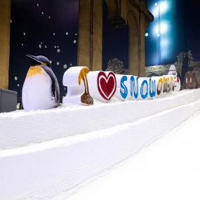 Photo from Snow Oman in Muscat: Gallery Photo 3qebq8