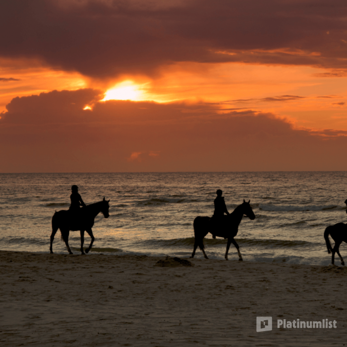 Horse Riding in Jeddah in Jeddah : Galerie de photos n154qj Horse Riding in Jeddah in Jeddah : Galerie de photos n154qj