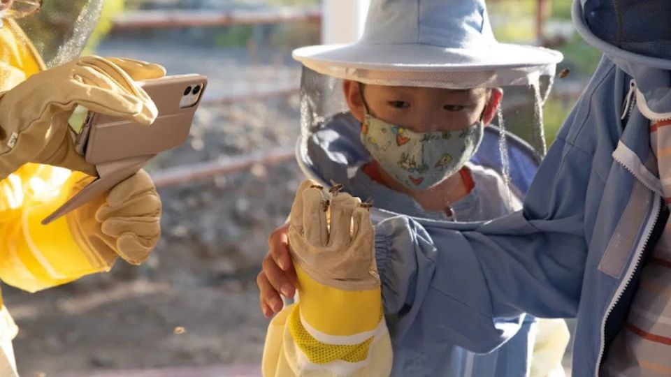 Photo from جولة استكشافية في حديقة النحل في حتا in دبي: Gallery Photo 35yyog