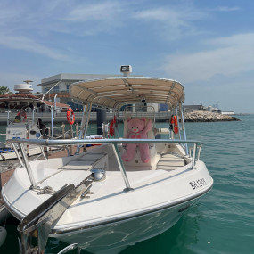 Photo from Family Private Boat Tour to Al Dar Island in Manama: Gallery Photo 3e775m