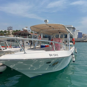 Photo from Family Private Boat Tour to Al Dar Island in Manama: Gallery Photo 34jjk8
