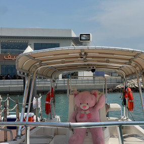 Photo from Family Private Boat Tour to Al Dar Island in Manama: Gallery Photo 3rww5y