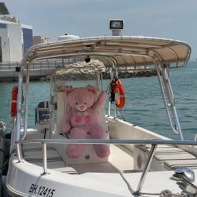 Photo from Family Private Boat Tour to Al Dar Island in Manama: Gallery Photo zw665e