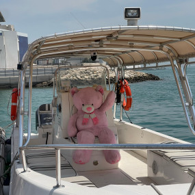 Photo from Family Private Boat Tour to Al Dar Island in Manama: Gallery Photo zm0046