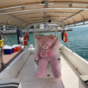 Photo from Family Private Boat Tour to Al Dar Island in Manama: Gallery Photo n0vv8p