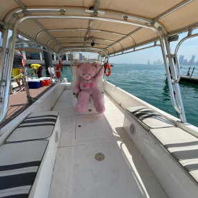 Photo from Family Private Boat Tour to Al Dar Island in Manama: Gallery Photo 38yyy1