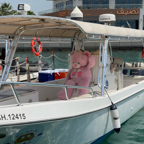 Photo from Family Private Boat Tour to Al Dar Island in Manama: Gallery Photo zoddd4