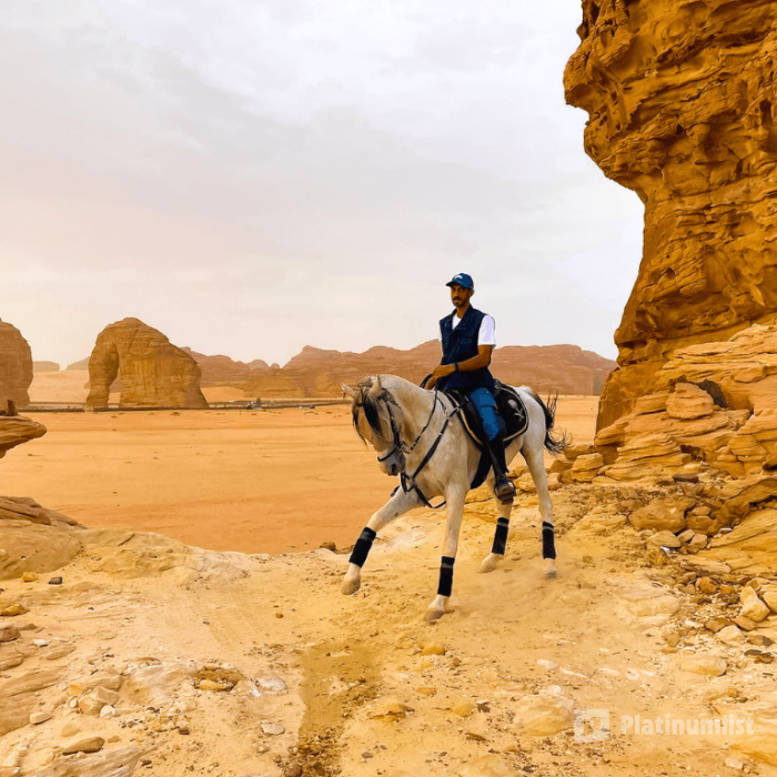 Horse Riding in Al Ula in Jeddah : Galerie de photos z7xxxw