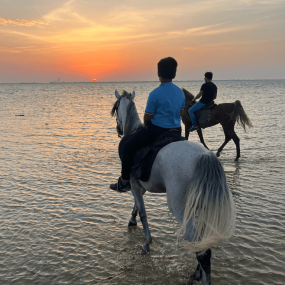 Horse Riding in Jeddah in Jeddah : Galerie de photos 3xvvw1