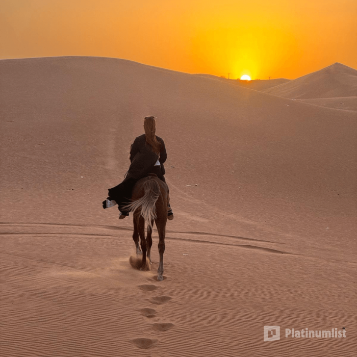 Horse Riding in Riyadh in Riyadh: Gallery Photo n266jr