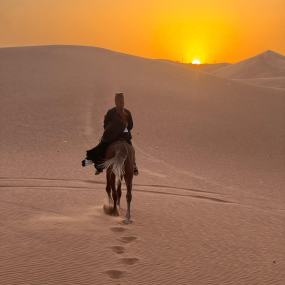 Horse Riding in Riyadh in Riyadh: Gallery Photo n266jr