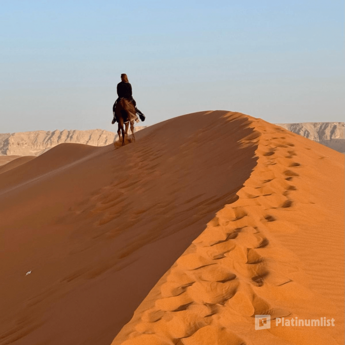 Horse Riding in Riyadh in Riyadh: Gallery Photo n155od Horse Riding in Riyadh in Riyadh: Gallery Photo n155od