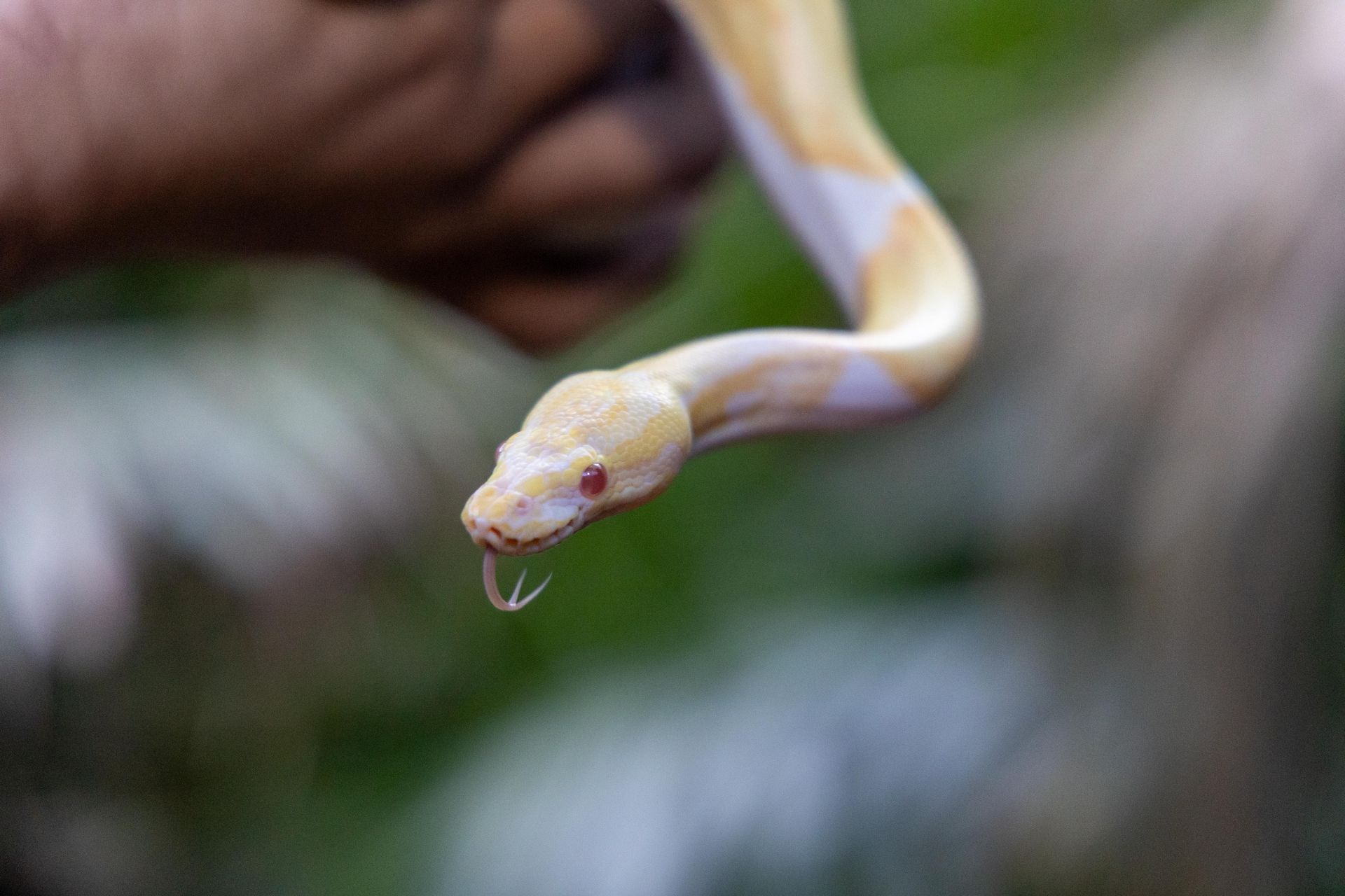 Photo from Tropical Land in Jeddah: Gallery Photo 3qee16