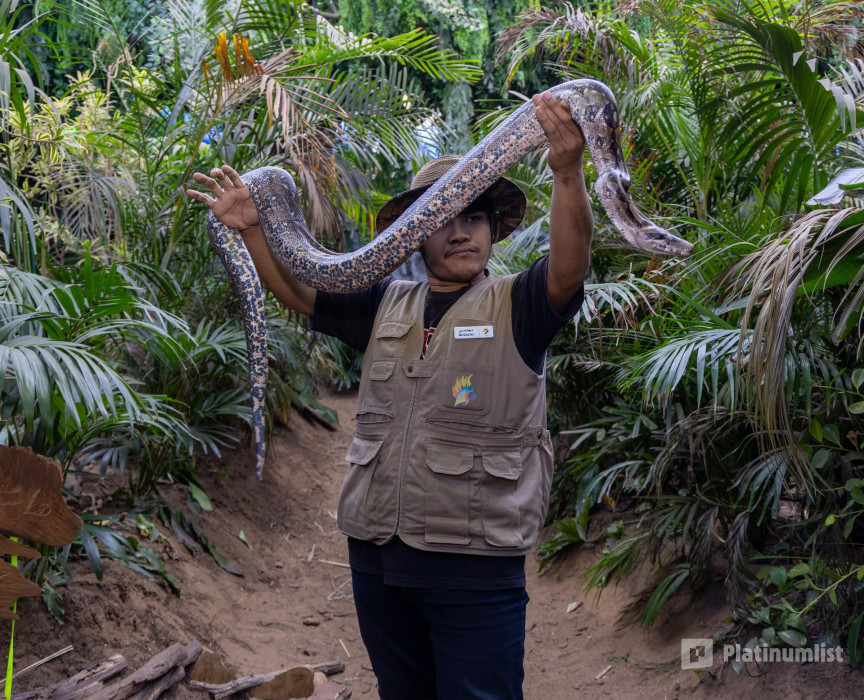 Tropical Land in Jeddah: Gallery Photo nkee7v