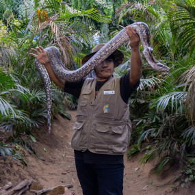 Tropical Land in Jeddah: Gallery Photo nkee7v