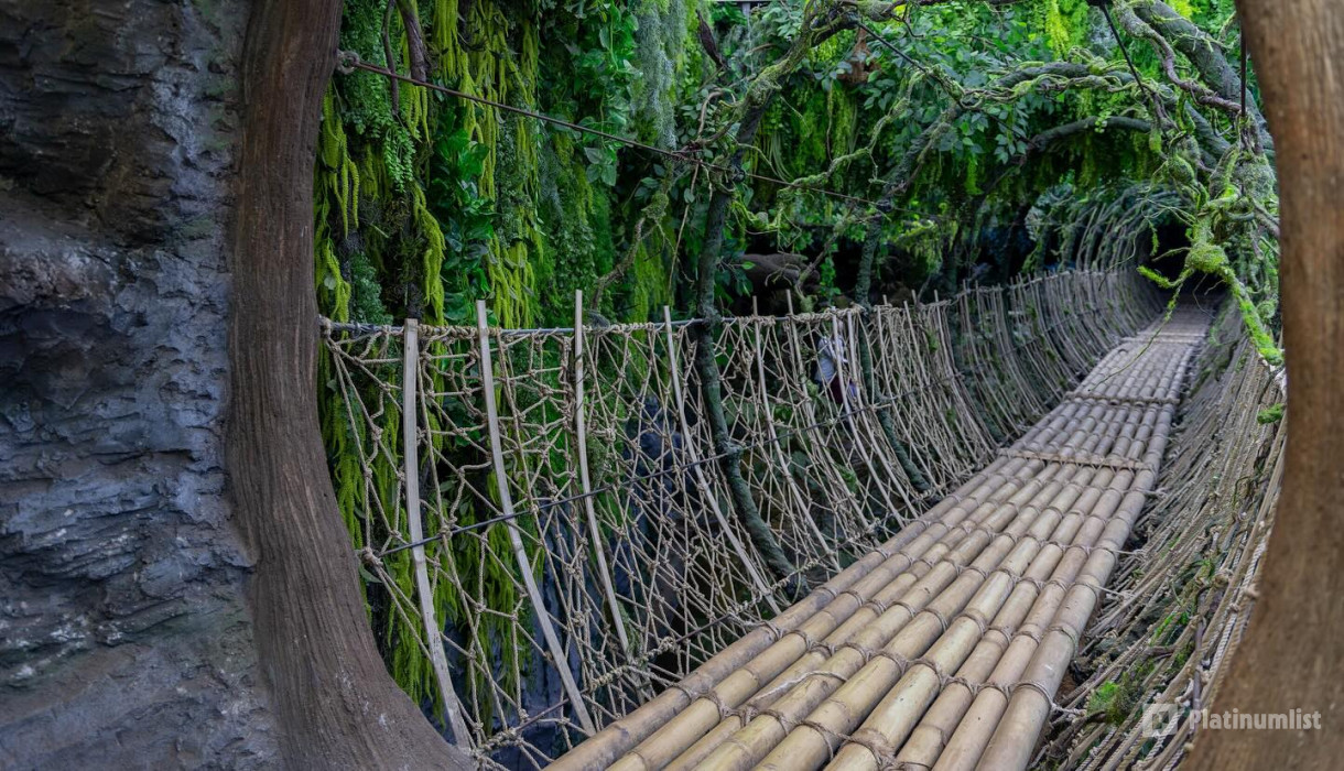 Tropical Land in Jeddah: Gallery Photo 35yy8m