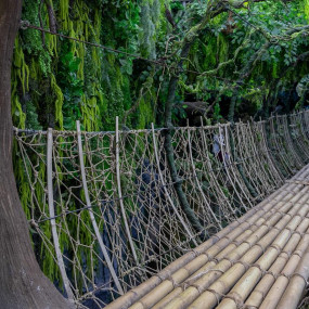 Tropical Land in Jeddah: Gallery Photo 35yy8m